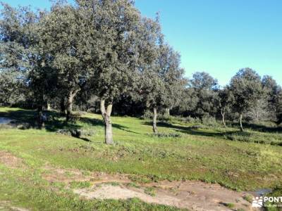 Monte y Soto de Viñuelas; excursiones para cruceros mapa de comunidad de madrid campamentos de niños